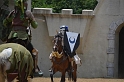 SFaire_2012 (507)
